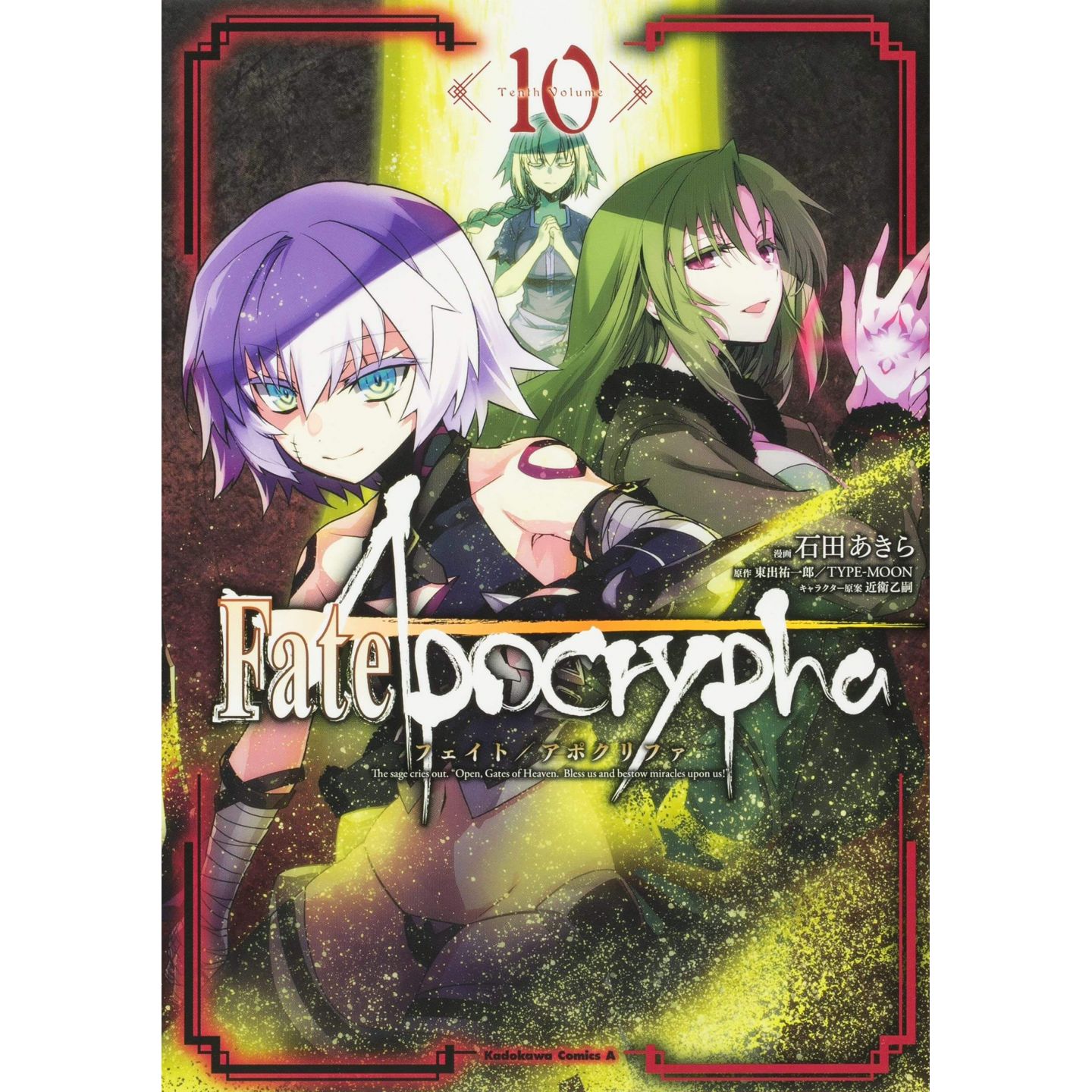 Fate Apocrypha Vol 10 Kadokawa Comics Ace Japanese Version