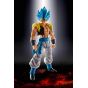 BANDAI S.H.Figuarts Dragon Ball - Super Saiyan God Super Saiyan Gogeta Figure