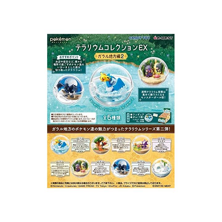 リーメント ポケットモンスター テラリウムコレクションex ガラル地方編2 Box