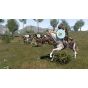 PLAION - Mount & Blade II: Bannerlord para Sony Playstation PS4