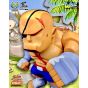 BigBoysToys - "Street Fighter" Bulkyz Collections Sagat