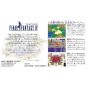 Square Enix - Final Fantasy IV for Nintendo Super Famicom