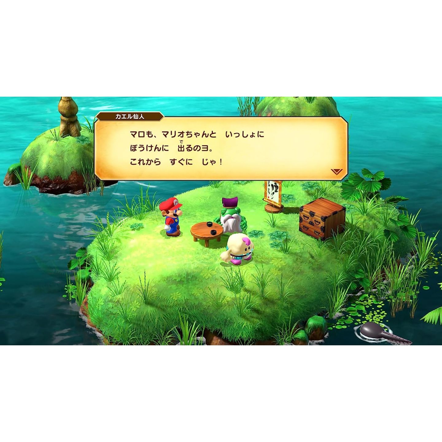 Nintendo Switch Super Mario RPG Korean English etc