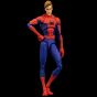 SENTINEL - Spider-Man Into the Spider-Verse SV Action Peter B. Parker Spider-Man DX Edition Reissue