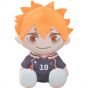 Good Smile Company Haikyuu Shoyo Hinata plush