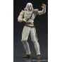 DIG DIGACTION Fist of the North Star Toki Figure