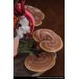 Reverse Studio The Mushroom Girls Series No 5 Ganoderma lucidum Figure