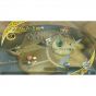 SQUARE ENIX Final Fantasy Crystal Chronicles Edizione Rimasterizzata SONY PLAYSTATION 4 PS4