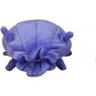 Pokemon Center Original Plush Pokemon Fit Shellder