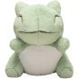 Pokemon Center Original Fluffy Huggable Plush Toy