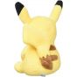 Pokemon Center Original Plush Pikachu Assis