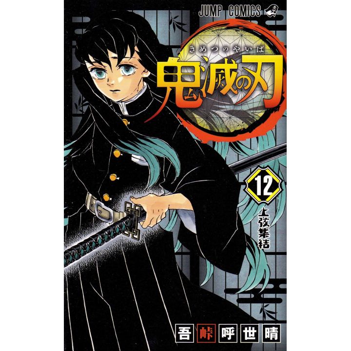 Kimetsu no Yaiba (Demon Slayer) vol.12 - Jump Comics