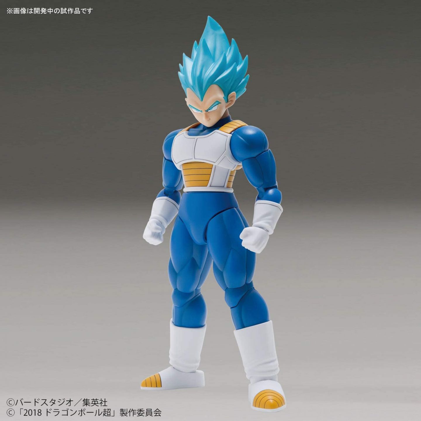 バンダイ Bandai Figure Rise Standard ドラゴンボール 超サイヤ人べジータ スペシャルカラー プラモデル