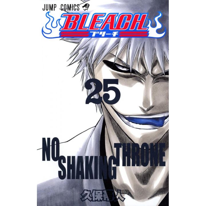 Bleach vol.25 - Jump Comics (version japonaise)