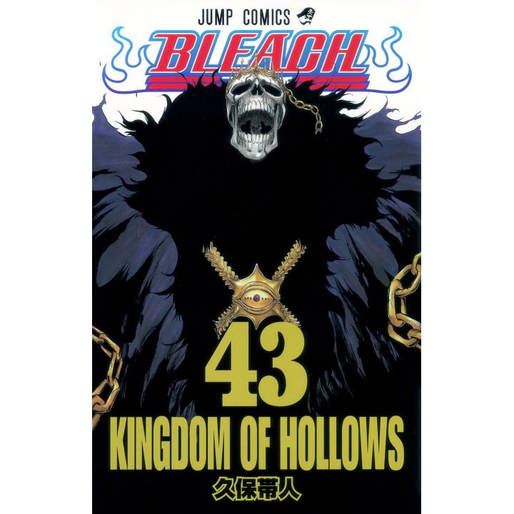 Bleach vol.43 - Jump Comics (version japonaise)