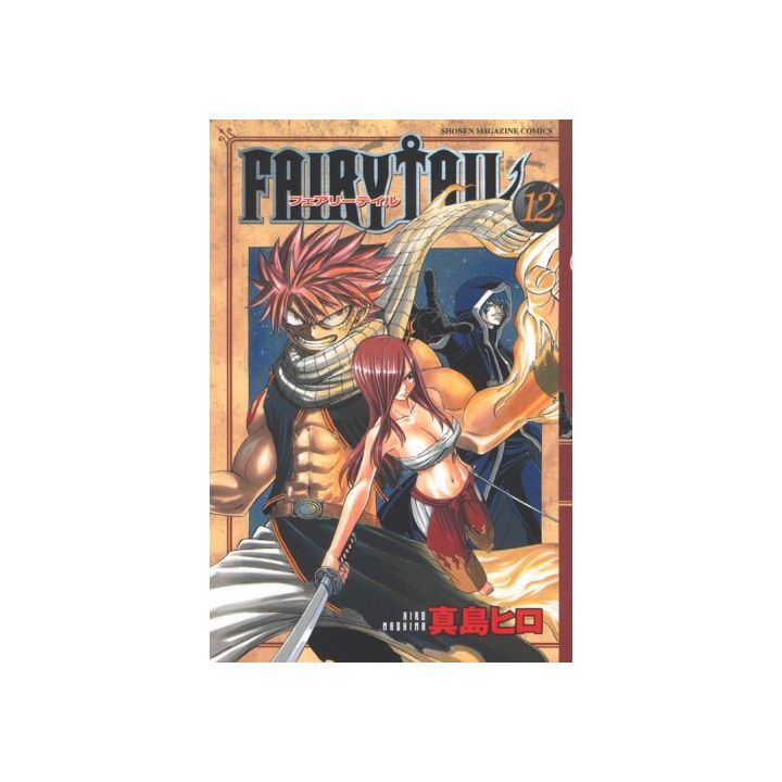 Fairy Tail vol.12 - Kodansha Comics (japanese version)