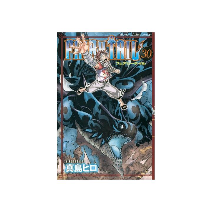 Fairy Tail vol.30 - Kodansha Comics (japanese version)