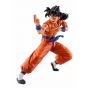 BANDAI Ichiban Kuji - Dragon Ball EX Chikyuu wo Mamoru Senshitachi - Yamcha - Premio D Masterlize