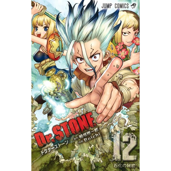 Dr.STONE vol.12 - Jump Comics (japanese version)