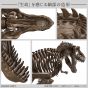 BANDAI - Imaginary Skeleton Tyrannosaurus Model Kit