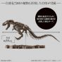 BANDAI - Imaginary Skeleton Tyrannosaurus Model Kit