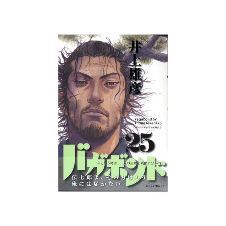 Vagabond vol.25 - Morning Comics (Version japonaise)