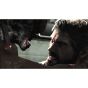 SCE Sony Computer Entertainment Inc. The Last of Us Remastered [PS4 software ]