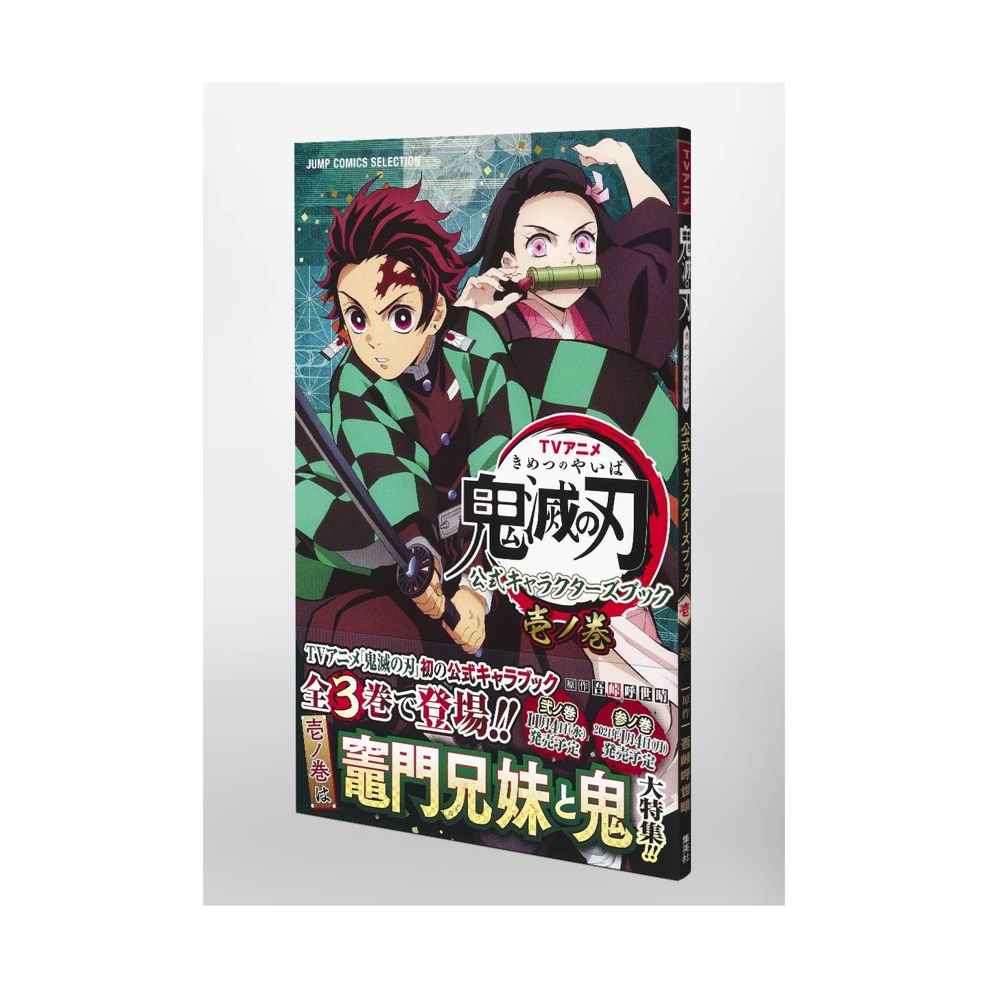 Kimetsu no Yaiba (Demon Slayer) - TV Animation - Characters book Vol. 2