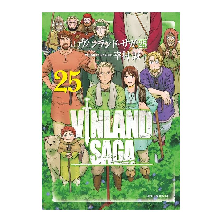 Vinland Saga vol.25 - Afternoon Comics (version japonaise)