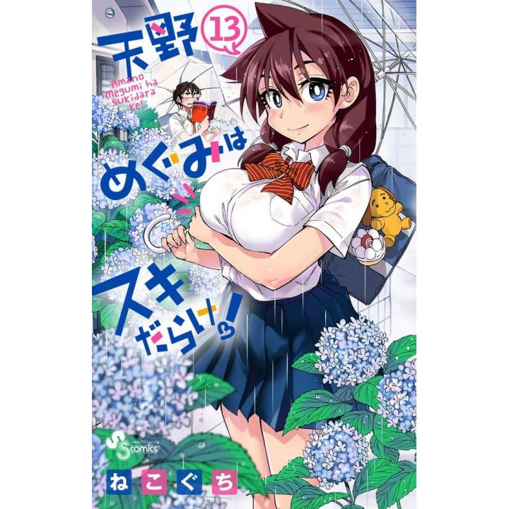 Amano Megumi wa Sukidarake! vol.13 - Shonen Sunday Comics (Japanese version)