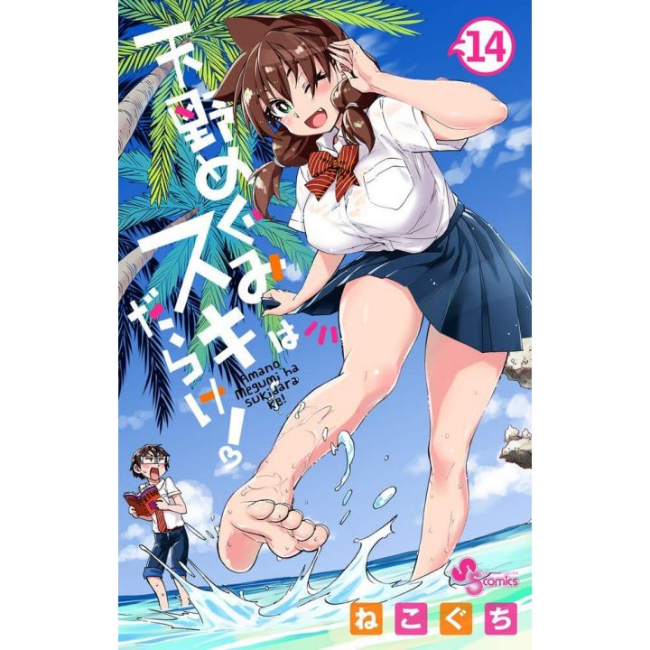 Amano Megumi wa Sukidarake! vol.14 - Shonen Sunday Comics (Japanese version)