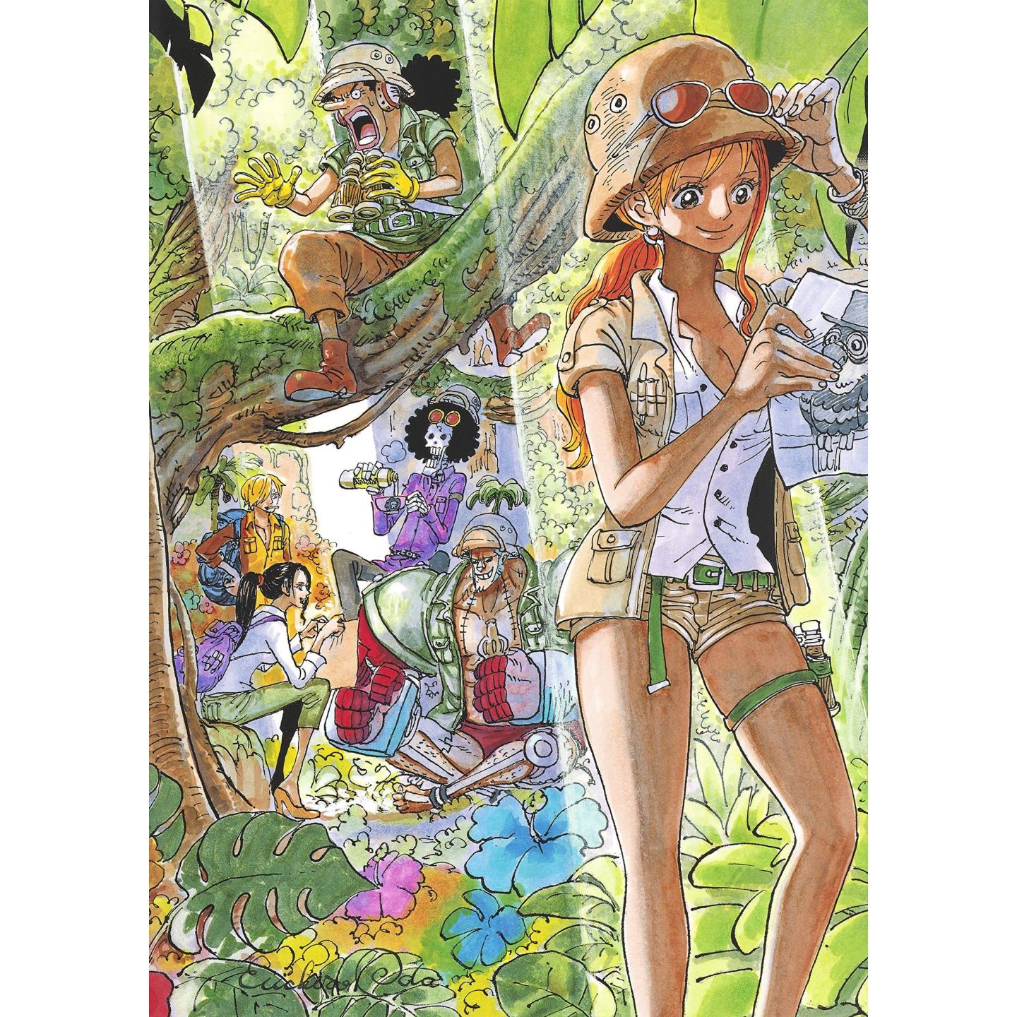 Artbook One Piece Colorwalk 9 Tiger Eiichiro Oda