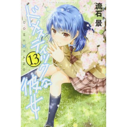 Love × Dilemma (Domestic na Kanojo) vol.13 - Kodansha Comics (Japanese version)